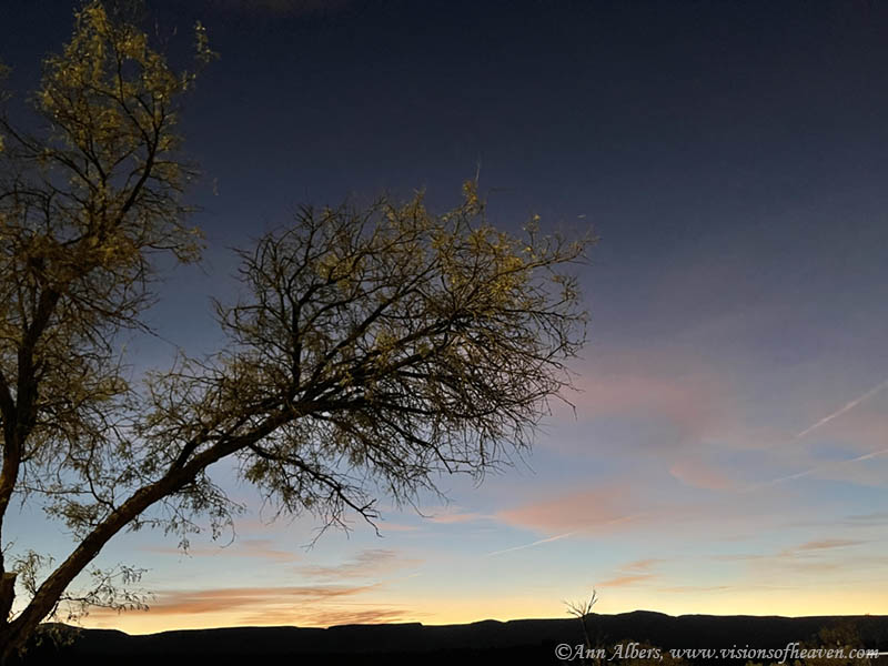 Photo of the week
