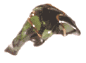 moldovite