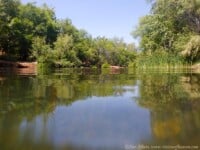 creek40 | Ann Albers Visions of Heaven
