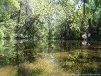 creek44 | Ann Albers Visions of Heaven