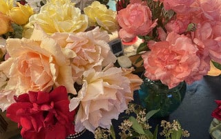 Assorted roses in peach, yellow, pink, and red arranged in glass vases on a dark table.