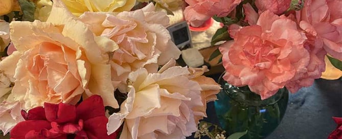 Assorted roses in peach, yellow, pink, and red arranged in glass vases on a dark table.