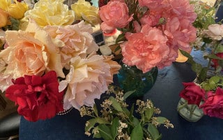 roses2 | Ann Albers Visions of Heaven Assorted bouquet of large pink, cream, yellow, and red peony-like flowers in glass vases on a dark blue table Bright bouquet with pink, peach, and white flowers arranged in glass vases on a blue table Colorful floral arrangement featuring big ruffled blooms in cream, pink, and red on a table Vase-filled bouquet of vibrant peonies in pink, yellow, and cream hues on a dark surface Cluster of large, lush flowers in pink, peach, and yellow with greenery on a blue table