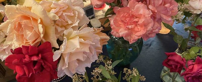Assorted bouquet of large pink, cream, yellow, and red peony-like flowers in glass vases on a dark blue table Bright bouquet with pink, peach, and white flowers arranged in glass vases on a blue table Colorful floral arrangement featuring big ruffled blooms in cream, pink, and red on a table Vase-filled bouquet of vibrant peonies in pink, yellow, and cream hues on a dark surface Cluster of large, lush flowers in pink, peach, and yellow with greenery on a blue table